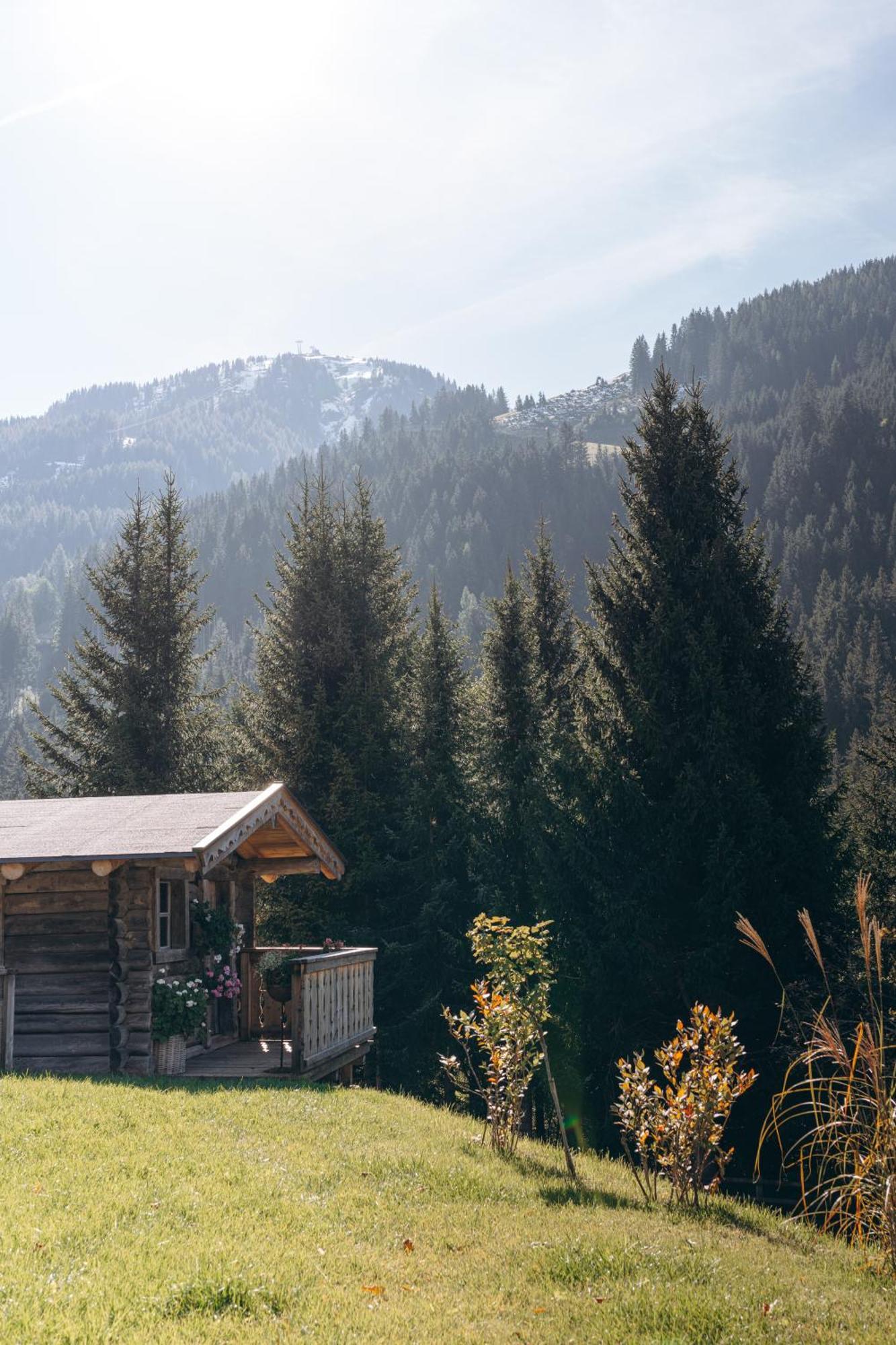 Bed and Breakfast Haus Spieleck Зальбах-Хинтерглемм Экстерьер фото